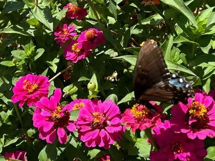 Forgive Yourself First: 5-Minute Practice