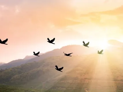 Forgive Yourself: Healing The Wounds Of The Past