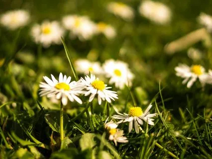 Forgive Yourself - Let Go And Move Forward