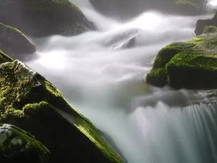 Forgiveness: A Gentle Meditation To Let Go And Feel Free