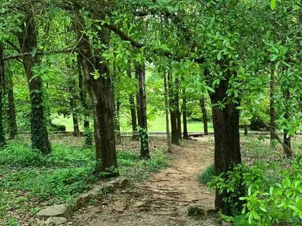 Forgiveness: A Process And A Choice - When You Are Ready