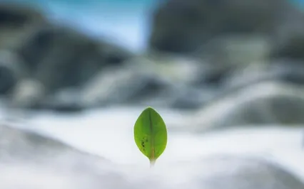 Forgiveness – Addiction Recovery