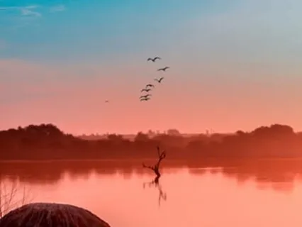 Forgiveness & Freedom