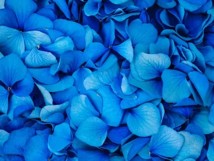 Forgiveness & Letting Go