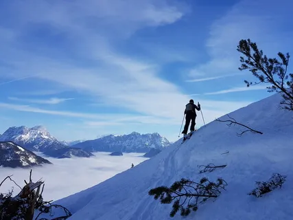 Forgiveness And Metta