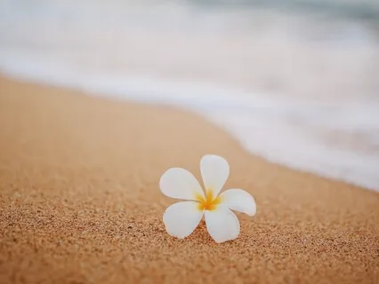 Forgiveness & Presence