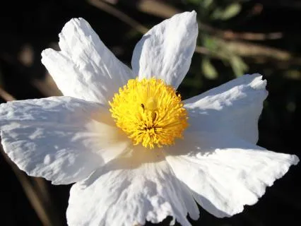 Forgiveness And Release (Brief But Powerful Meditation)