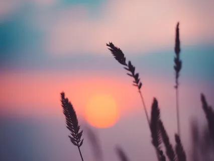 Forgiveness And Self Love For Sensitive Achievers