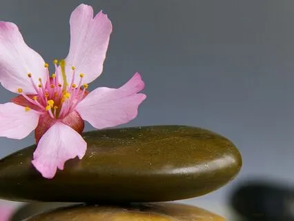 Forgiveness As A Spiritual Practice Meditation