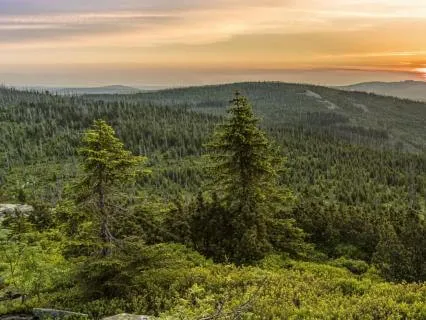 Forgiveness Begins Now