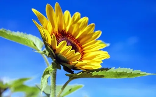 Forgiveness - Forgive yourself and/or others