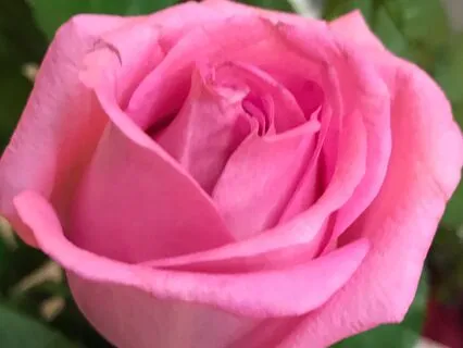 Forgiveness- Guided Prayer & Meditation