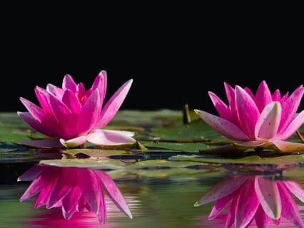 Forgiveness Heals My Body – Longevity Affirmation & Prayer