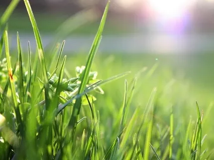 Forgiveness Is A Self-Love Act (Includes Meditation)