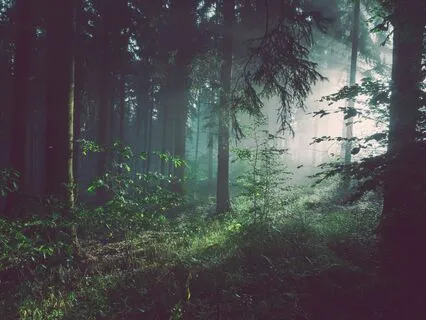 Forgiveness Is Free[Ing]