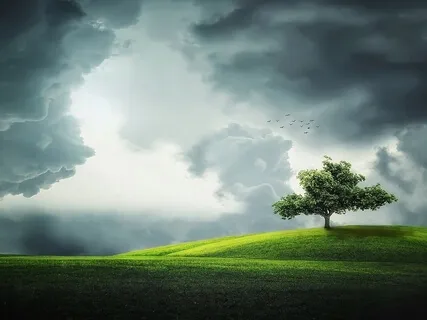 Forgiveness Is Freedom- Story