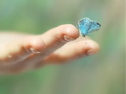 Forgiveness Is Such An Important Tool For Us To Get Past Our Past