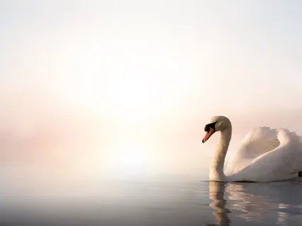 Forgiveness - It's Kind And Liberating