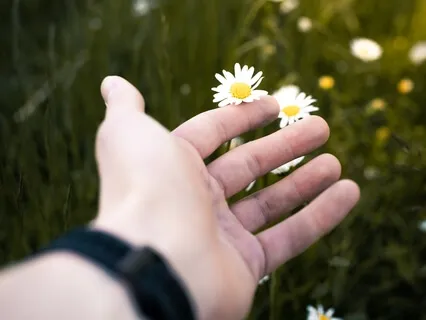 Forgiveness - Letting Go