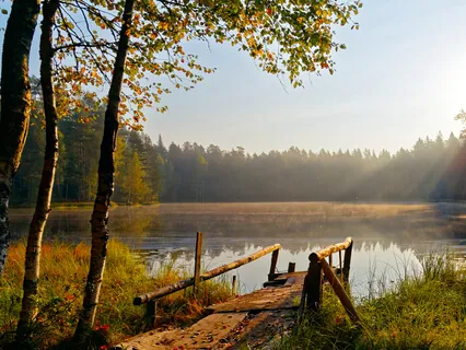 Forgiveness Meditation