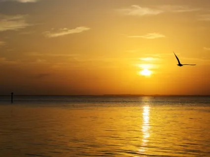 Forgiveness Meditation