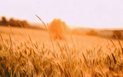 Forgiveness Meditation