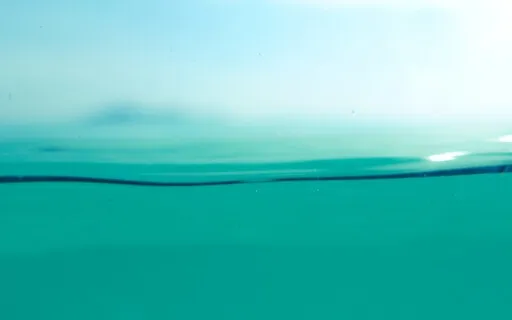 Forgiveness Meditation