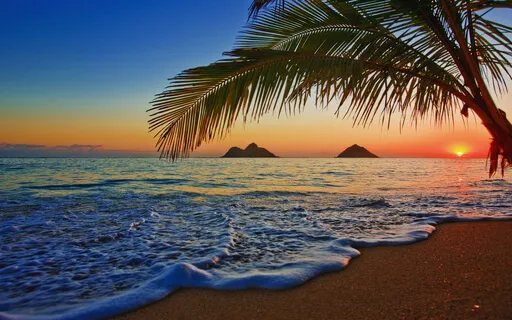 Forgiveness Meditation