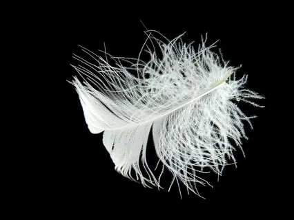 Forgiveness Meditation 