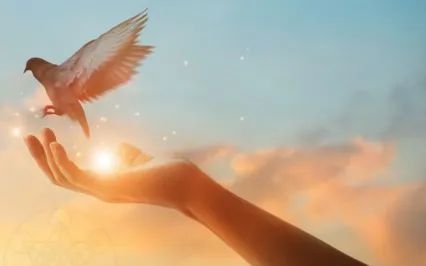 Forgiveness Meditation