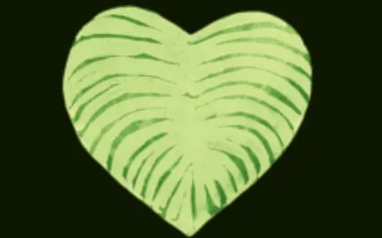 Forgiveness Meditation