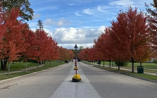 Forgiveness Meditation