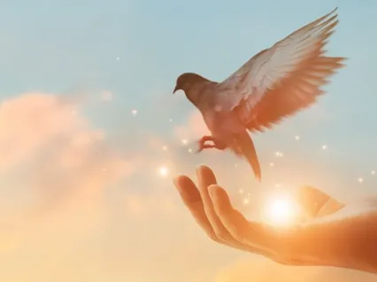 Forgiveness Meditation