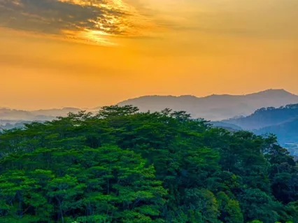 Forgiveness Meditation And Gentle Fortifying Affirmations