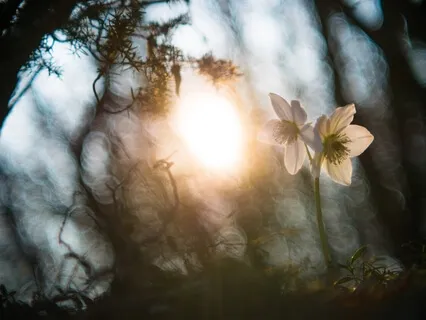 Forgiveness Meditation For Letting Go