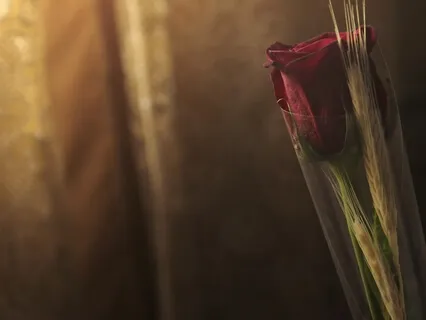 Forgiveness Practice - Khama: A Way To End Self-Inflicted Pain