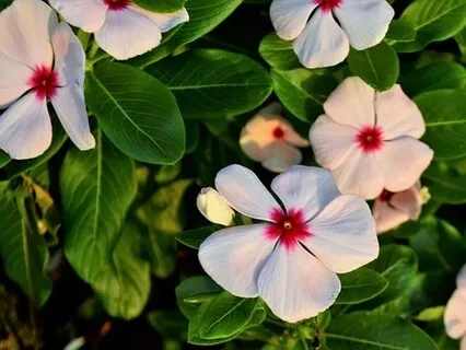 Forgiveness And Letting Go