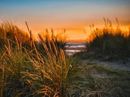 Meditation To Forgive Someone Who Hurt You