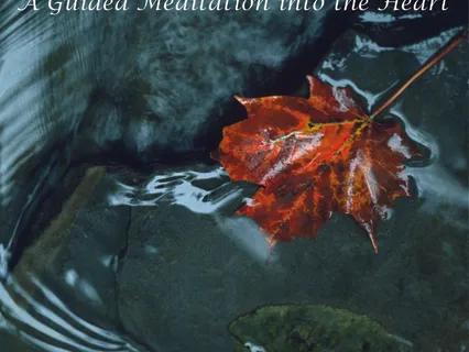 Forgiveness Meditation with Bill