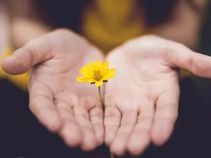 Forgiveness Meditation With Journaling