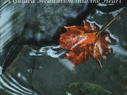 Forgiveness Meditation with Padme