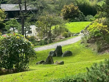 Forgiveness Meditation