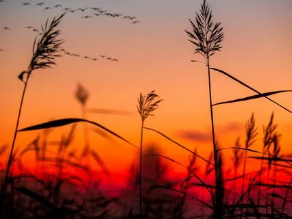 Forgiveness Meditation