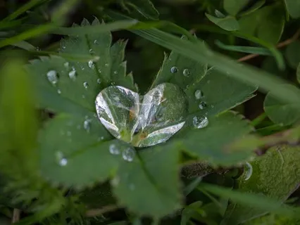 Forgiveness Practice