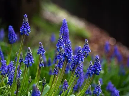 Forgiveness Practice