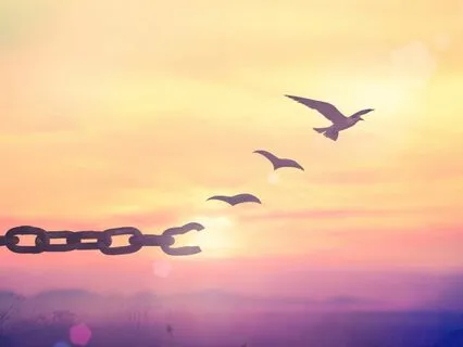 Forgiveness Practice