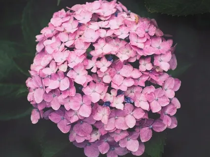 Forgiveness, Reconciliation And Love