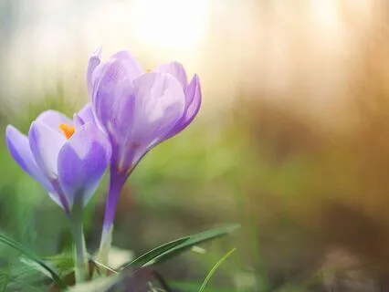 Forgiveness, Say Goodbye To The Pain Of The Past