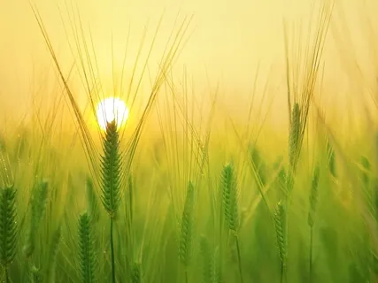 Forgiveness Series Part 1: Self-Forgiveness