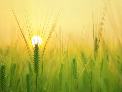 Forgiveness Series Part 2: Forgiving Others